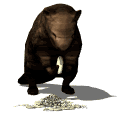 Gif animé castor